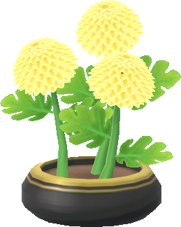 gelb-chrysanthemen_topfpflanze_.png