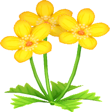 gelb-butterblumen.png