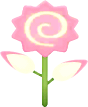 pink-ruehrblume.png