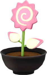 pink-ruehrblume_topfpflanze_.png
