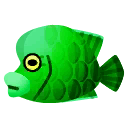 gruen-napoleonfisch.png