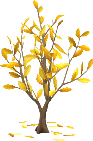 gold-herbstolivenbaum.png