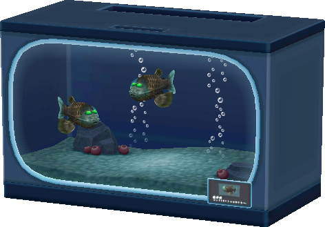 glaskopffisch-aquarium.png