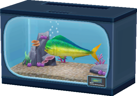 goldmakrele-aquarium.png