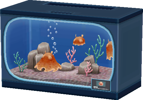 oktopus-aquarium.png