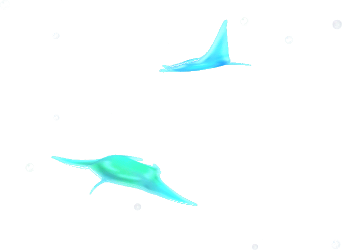 leucht-mantarochen.png