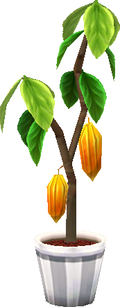kakaobaum.png