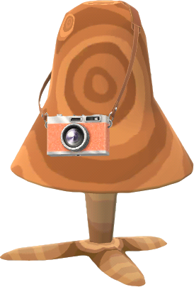 orange-fotoapparat1.png