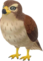 falke.png