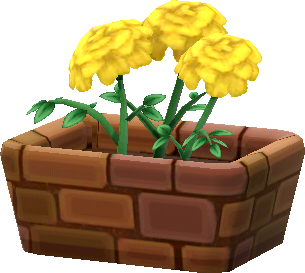 gelb-ringelblumen_topfpflanze_.png