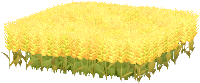 bauernhof-weizenfeld.png