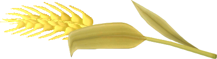 weizenhalm.png