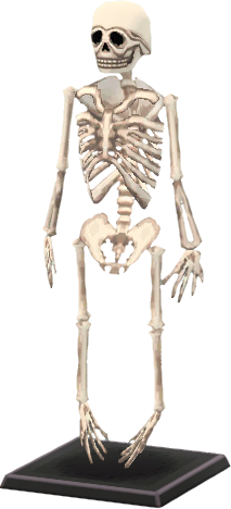 skelett.png