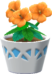orange-hibiskus_topfpflanze_.png