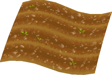 feld.png