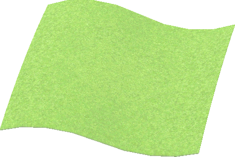 weidegras-boden.png