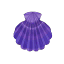 violett-kammmuschel.png