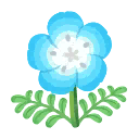 hellblau-hainblumen.png