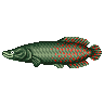 Arapaiama