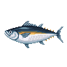 tunfisch.png