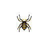 spinne.png