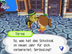 Schicksal im neuen Jahr